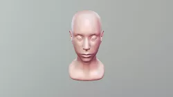 Halfway Head
