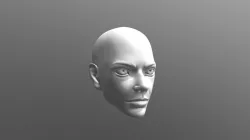 Head Study
