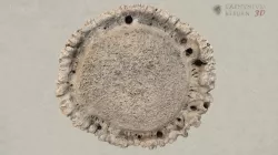 Hirschhornamulett