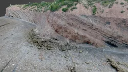 Joggins Fossil Cliffs