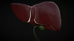 Liver