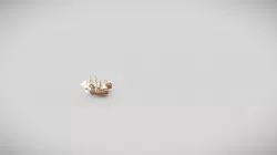 Low Poly Underwater Pack - Ship Models