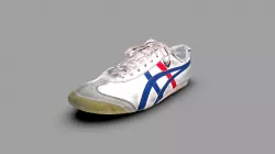 Onitsuka Tiger left foot