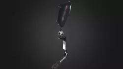 Prosthetic leg