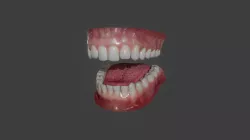 Realistic Human Mouth (Lowpoly) (2020)