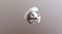 Sam