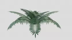 Shrub Pack