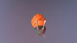 Snail