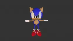 sonic R