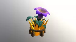 Sun Shirne