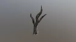 Tree Model