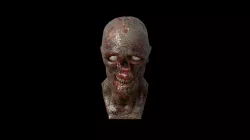Zombie Head