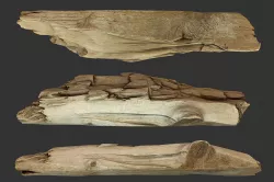 Broken Plank Low-poly  3D model