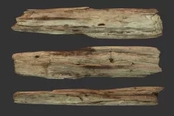 Broken Wood Plank Low-poly  3D model