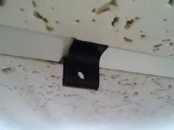 Ceiling Clip Hanger