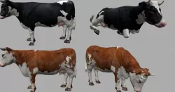 Cow lowpoly Low-poly  3D model