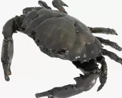 Crab PBR Low-poly  3D model