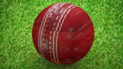 Cricket Ball