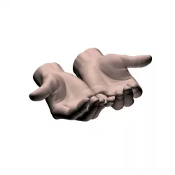 Cupped hands 3D model