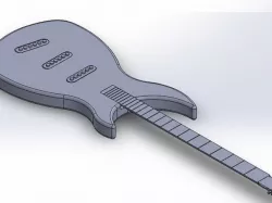 Custom Guitar