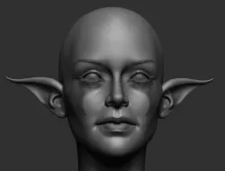 Elf Head 3D model