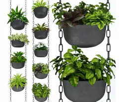 Hanging plants 001 3D model