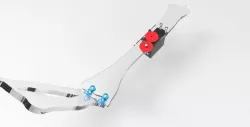 Human Biomechanic Ulna-Radius Bones Design