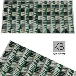Kyle Bunting Cover  3D model