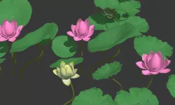lotus leaf 3D model