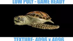 LOW POLY Sea Turtle Low-poly  3D model