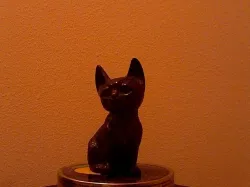 Nepal Cat 2