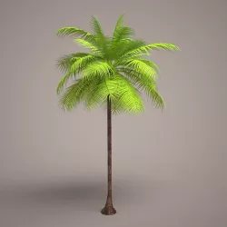 Palm tree 3D model