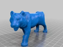 Paulos Tiger
