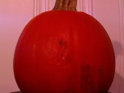 pumpkin2
