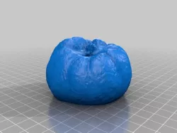 Squash