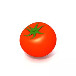 Tomato 3D model
