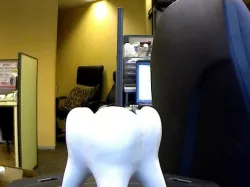 Tooth Upright