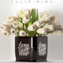 white tulip 9 3D model