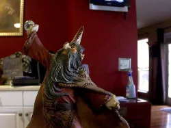 Wizard Casting Spell