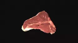 1173