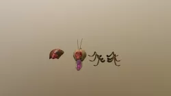Aliroach Split