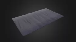 Carpet