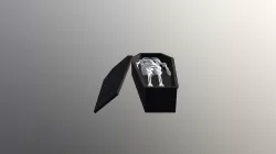 COFFIN