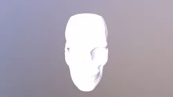 Cranio Marina viel