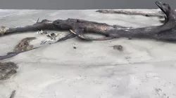 Driftwood 03 (photogrammetry scan)