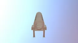 Drum Separator