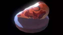Flesh Skull