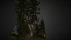 Forest scene