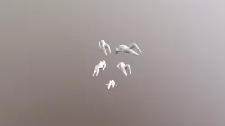 Group