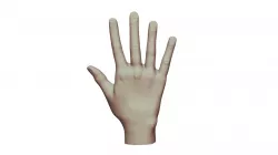 Hand